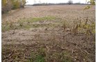 Field - 1,540 sq. ft. Ranch Style Country Home on Nearly 3 Acres